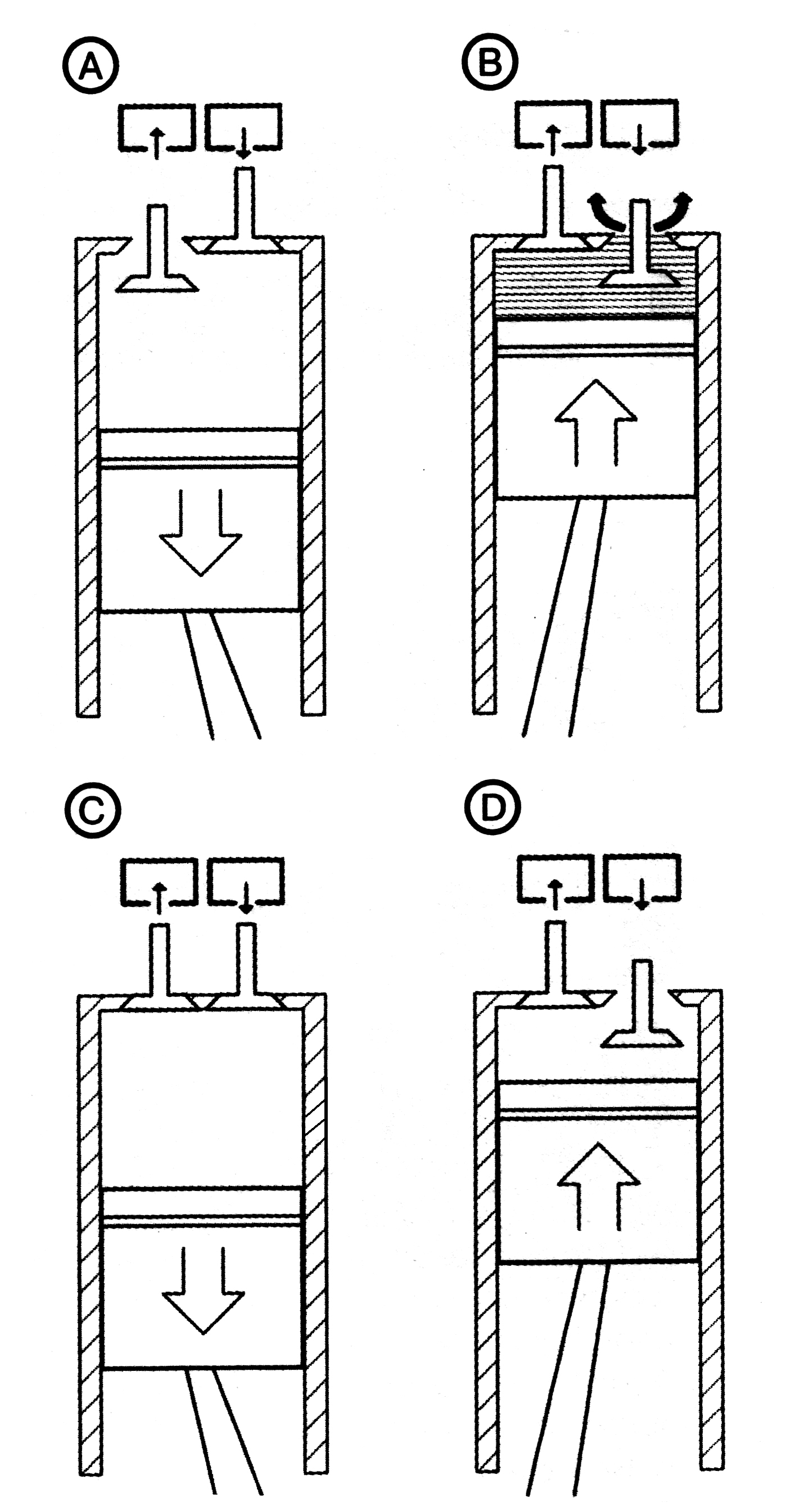 image_2bdf30570419409abee474981d97ef0b