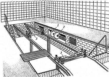 Широк осм кан