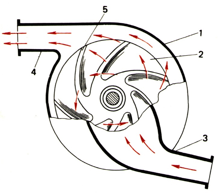 image_42735ba740f640fc81bf3dbafbdfffb9