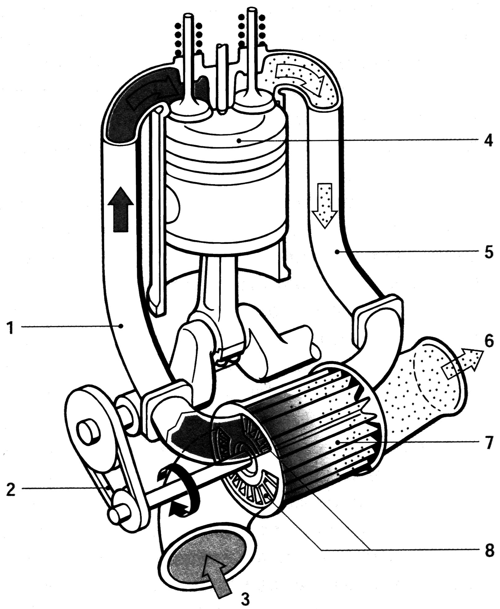 image_a56396a23b8c4d7fa7c11432a6535c17