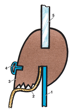 image_5185a9a54b53401a8dc125695ea6e881