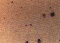 image_724bcfd6c3dc4d86b5b0bae10a8cd1ca