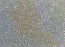 image_d8a03348b9224782912e8c1e072dfedd