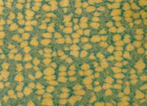 image_9e7da1142fbc45edbaeca188cd554c0b