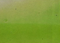 image_6ab3ad888e3c4c49b60f46d196c17332